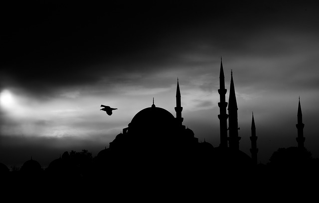 Silueta veží a mešity, nad ktorými letí vták